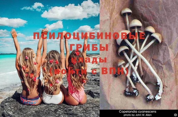 mix Армянск