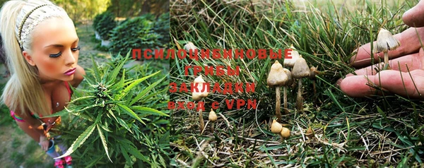 мет Аркадак