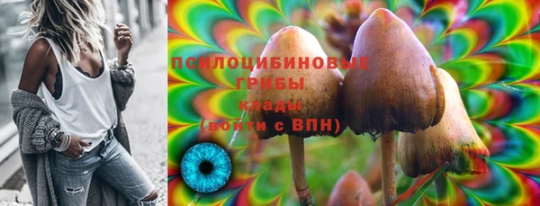 мет Аркадак