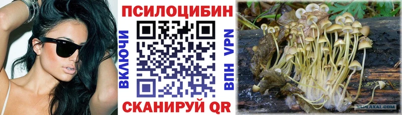Псилоцибиновые грибы Psilocybine cubensis  где можно купить наркотик  Игра 
